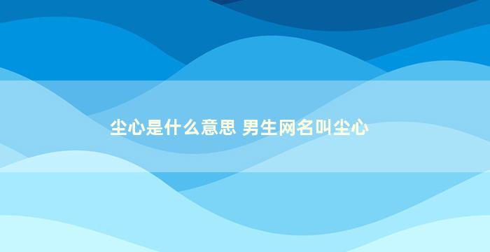 尘心是什么意思 男生网名叫尘心